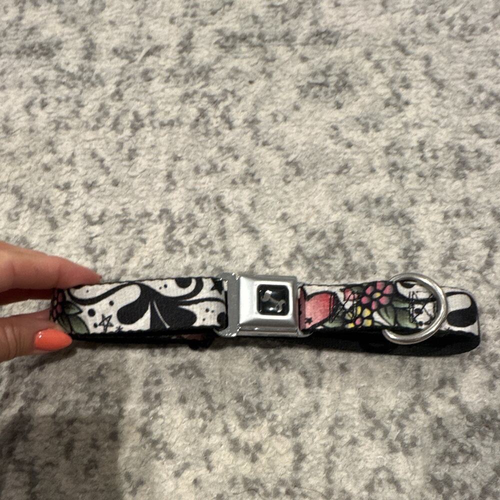 Buckle-Down Adjustable Nylon Dog ED Hardy Collar Seatbelt Buckle, S, Skulls